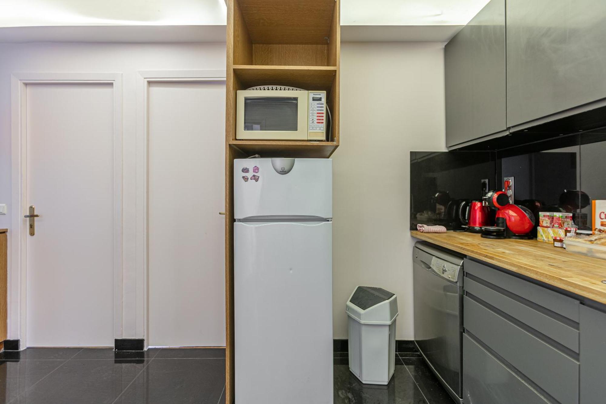 Apartment Elysees Paris